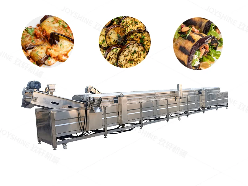 Armenia Continuous Eggplant Frying Line Project project in Armenia