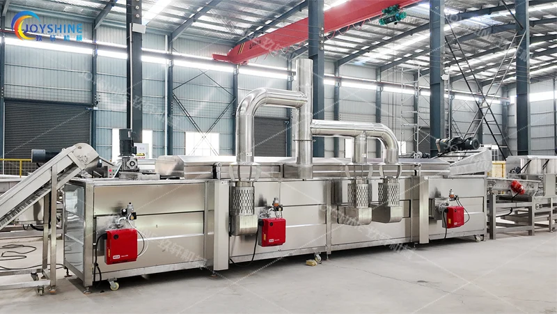 Continuous vegetable frying equipment for eggplant processing