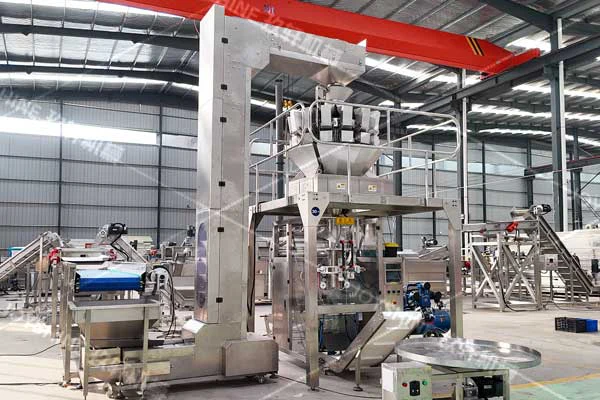 Stainless steel French fries line equipment and control components