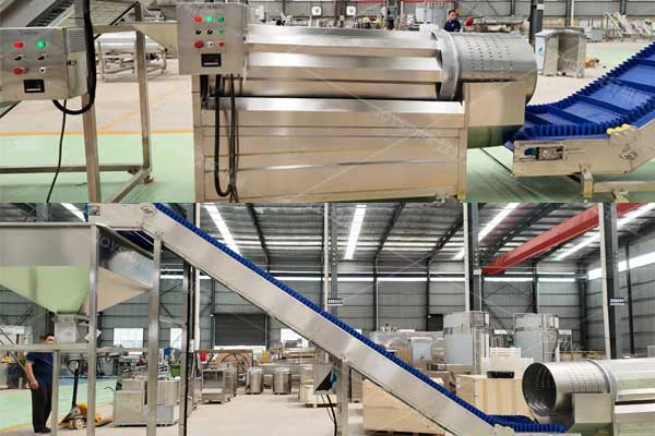 Industrial snack frying line conveyor and fryer detail