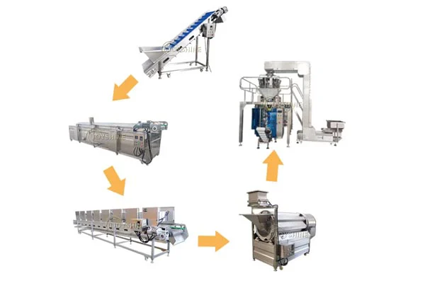 Frying line process equipment from feeding through frying and seasoning