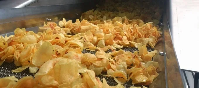 Potato chips moving through industrial frying equipment